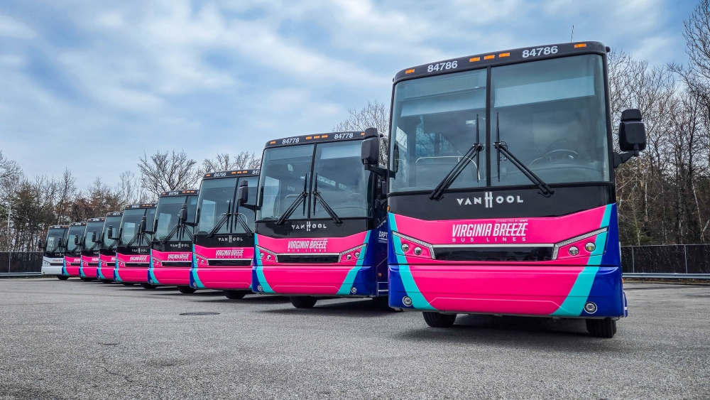 A front-facing line of pink-and-blue Virginia Breeze motorcoaches