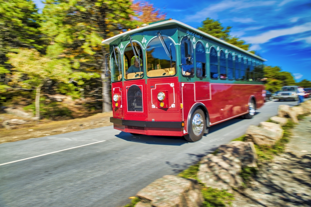 A vibrant red and green trolley rolls along a paved road, framed by lush green trees and a brilliant blue sky. The trolley, a classic mode of transportation, appears to be full of passengers. The setting is a blend of urban infrastructure and natural beauty, creating a sense of adventure and exploration. The bright sunlight and dynamic motion blur add to the light-hearted and energetic mood.
